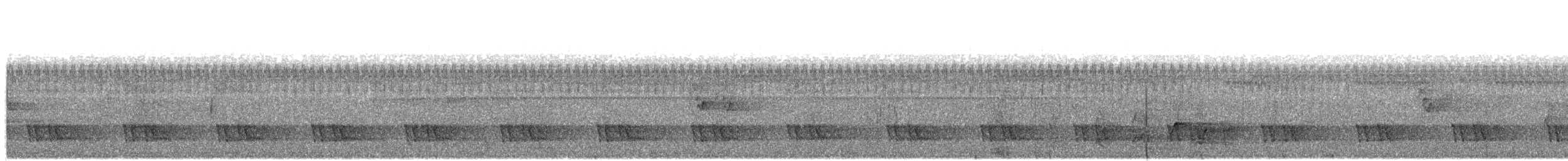 Black-eared Barbet - ML495024681