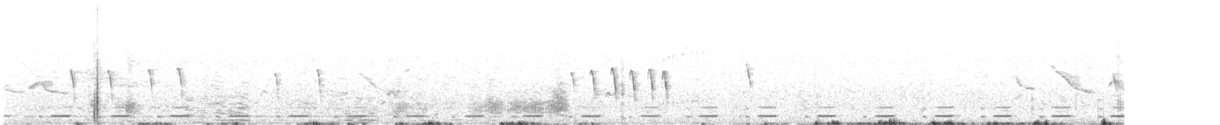 Серогрудый зобатый бегунок - ML495026561