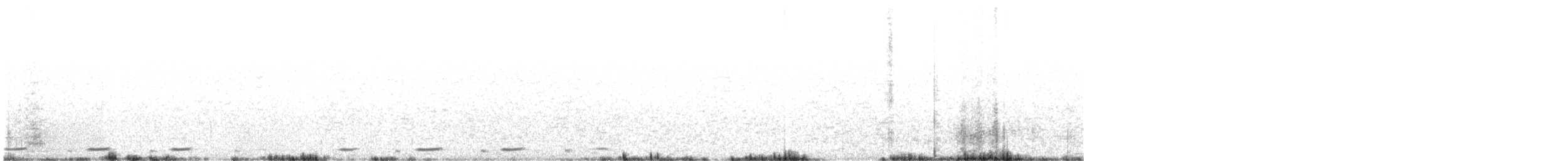 Серогрудый зобатый бегунок - ML495026571