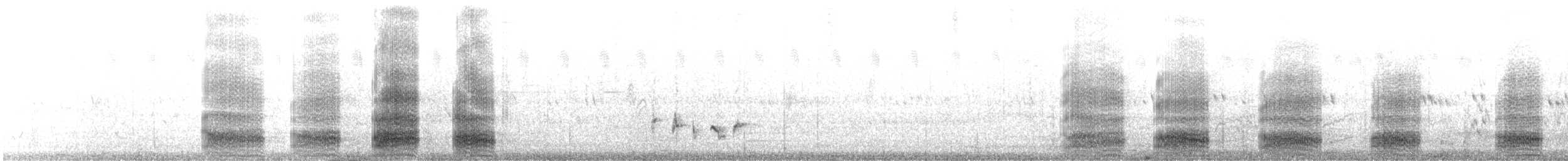 Cuervo Desertícola - ML495046541