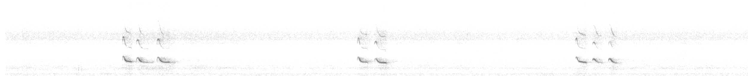 Үхэр хөгчүү - ML495089371