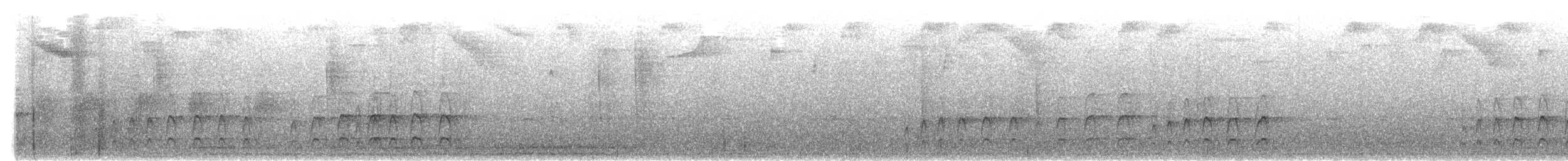 Черногорлая иглохвостка - ML495121921