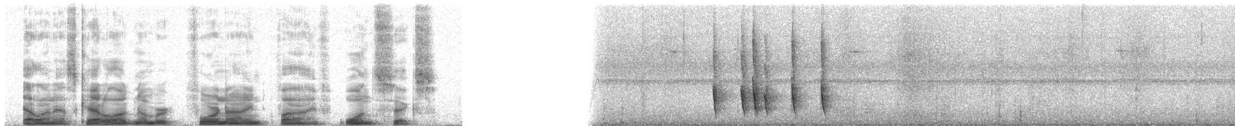 Todirostre roussâtre - ML49516