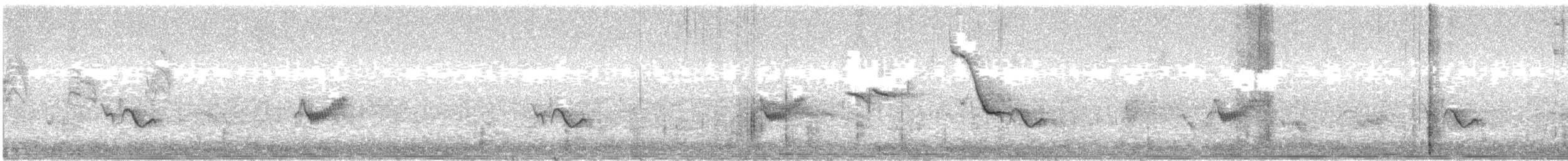 Cassin's Vireo - ML495198271