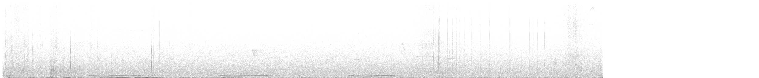 holub pruhoocasý - ML495202351