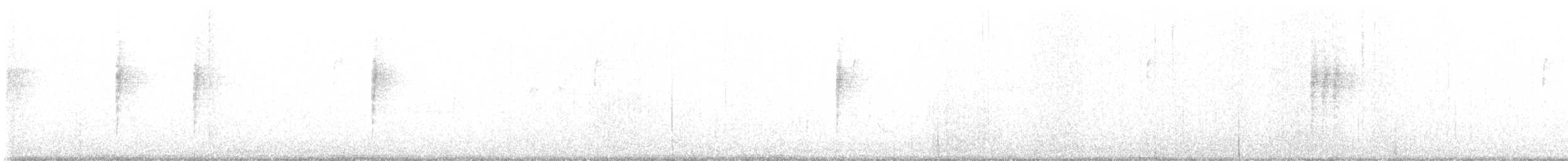 Bewick Çıtkuşu - ML495209081
