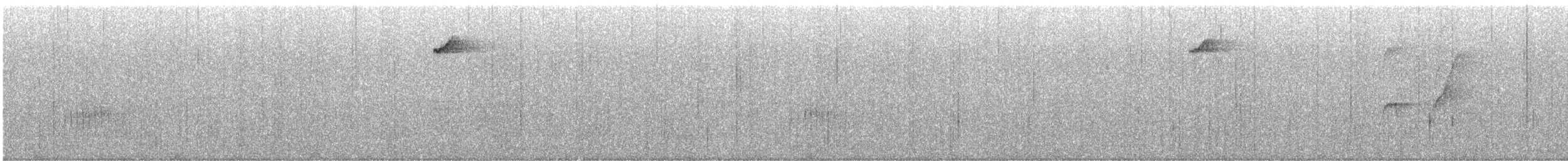 izurødskjegg - ML495292531