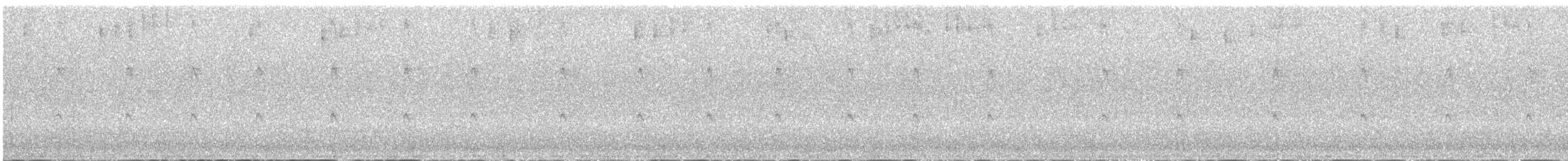 Colibri à gorge lilas - ML495309611