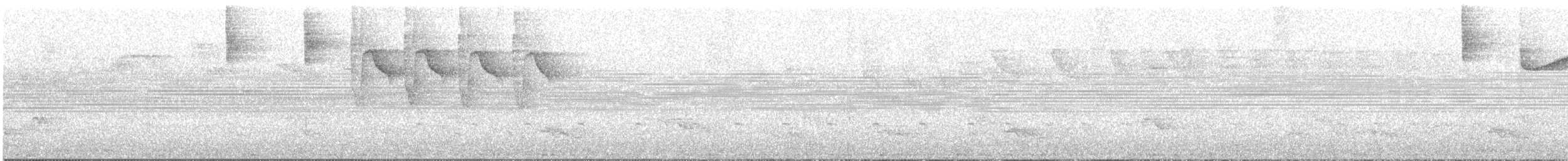 Ak Kulaklı Yer Serçesi - ML495312371