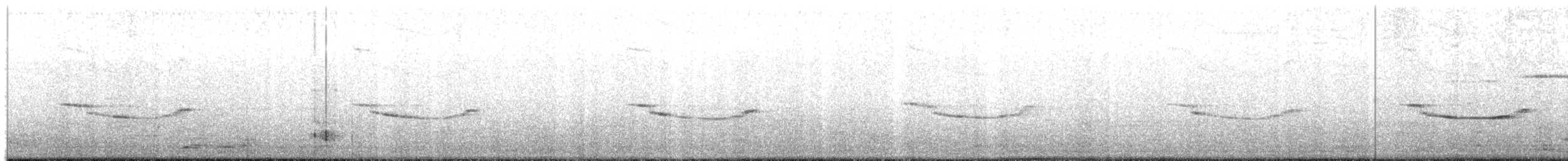 Band-winged Nightjar (longirostris) - ML495340671