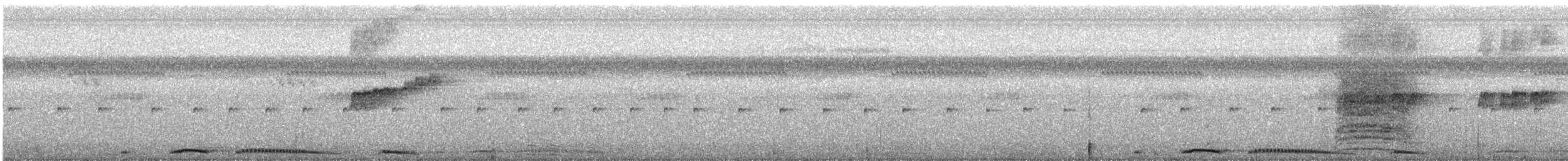 Tourterelle tigrine (chinensis/tigrina) - ML495356091