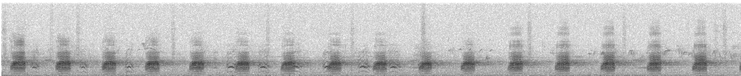 Stockente - ML49536771