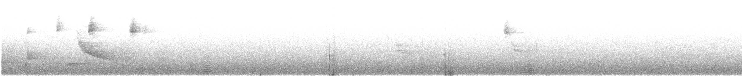 シロオビアメリカムシクイ - ML495372401
