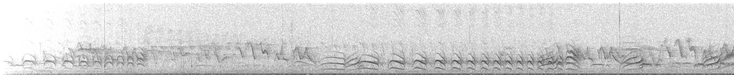 Rostflügel-Ameisenwürger - ML495373841