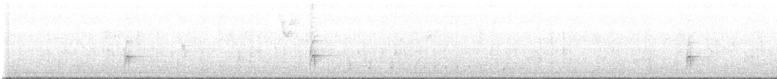 American Robin - ML495398261