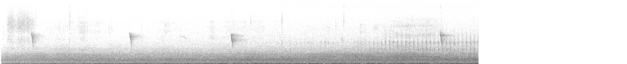Moucherolle phébi - ML495494381