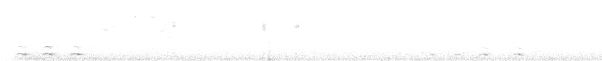 guan bělokřídlý - ML495518631