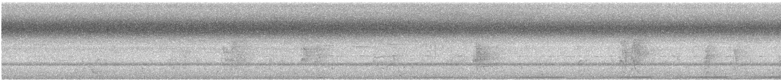 Monarcha sp. - ML49558351