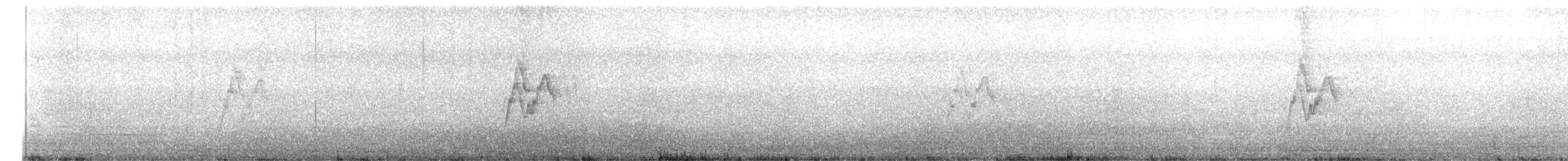 White Wagtail (Chinese) - ML495588271