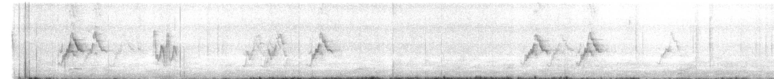 נחליאלי לבן (סיני) - ML495588281