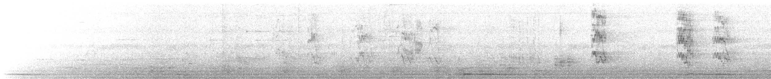 White-cheeked Starling - ML495597841