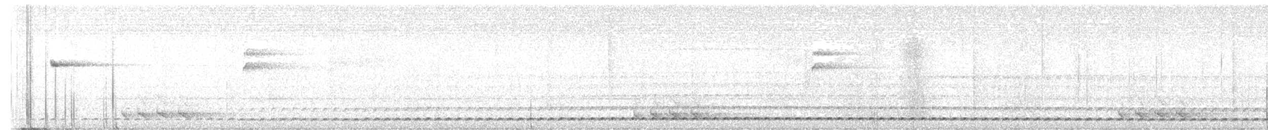 Chevêchette cuculoïde - ML495636411