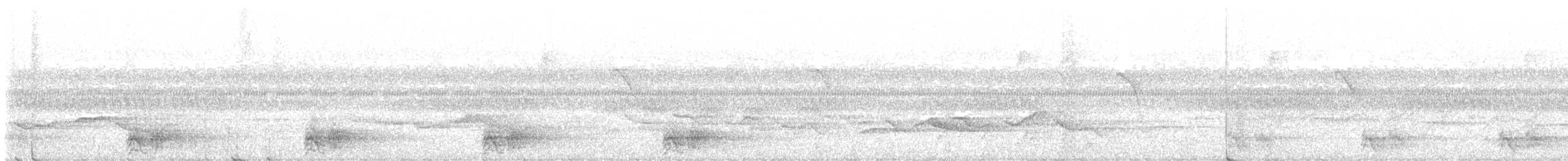 Malabar Gray Hornbill - ML495669391