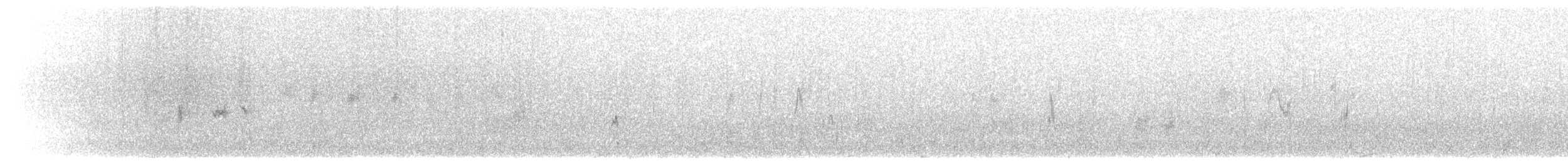 Mirlo Acuático Norteamericano - ML495674131