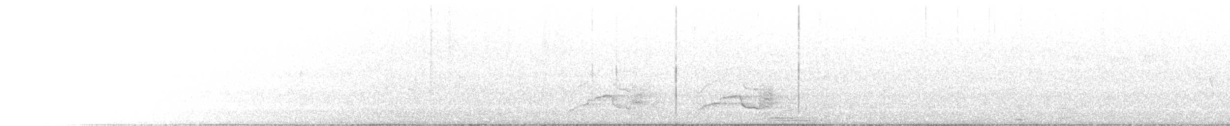 Yellow-tailed Black-Cockatoo - ML495892791