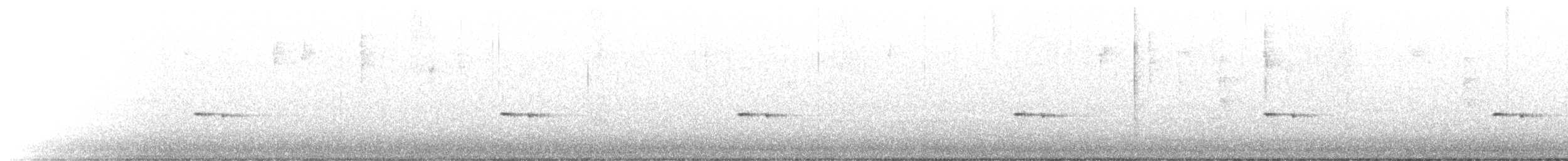 ホウセキドリ（punctatus） - ML495895511