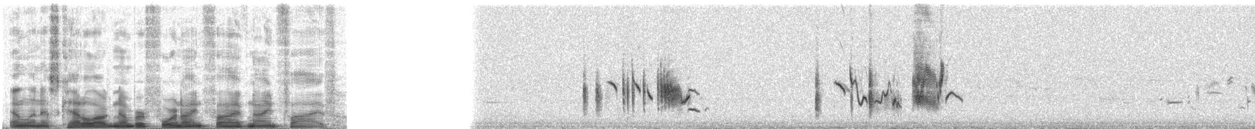 穗䳭(oenanthe/libanotica) - ML49595