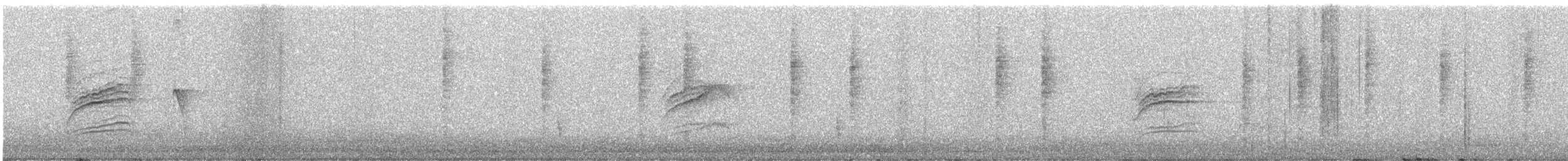 Дрізд-короткодзьоб плямистоволий - ML496066001