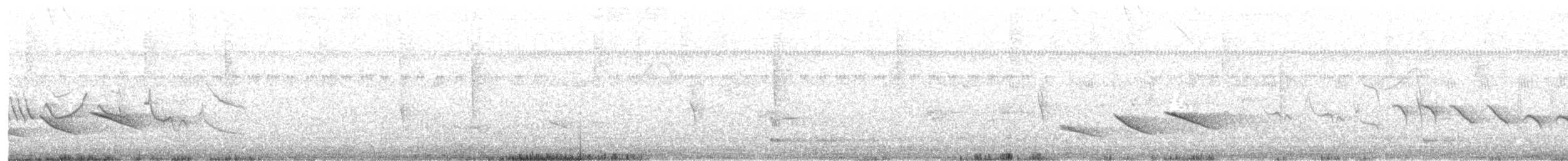 Kestane Karınlı Koca Tohumcul - ML496086571