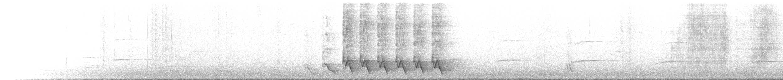 Red Wattlebird - ML496127211