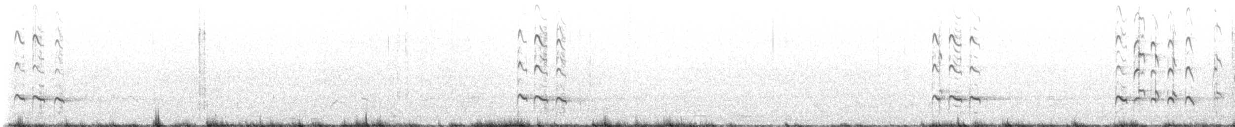 Greater Yellowlegs - ML496146881