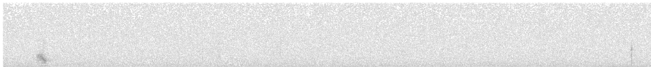 Trompeterparadieskrähe - ML496177761