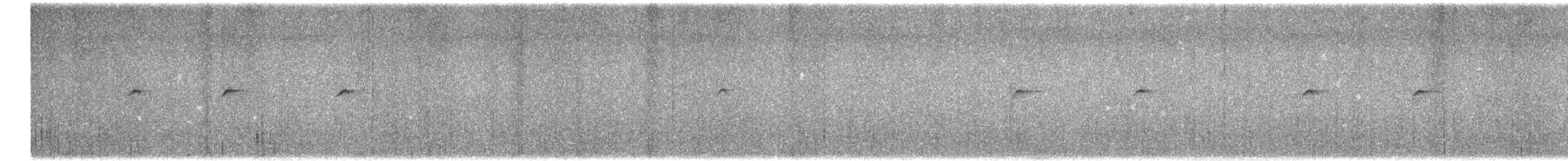 Daurian Redstart - ML496209371