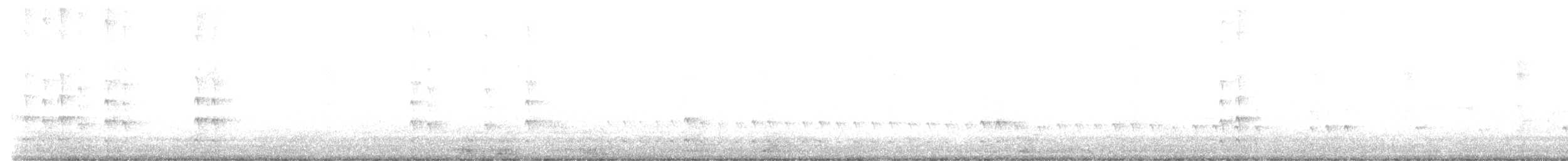 gullspett (mexicanoides) - ML496248981