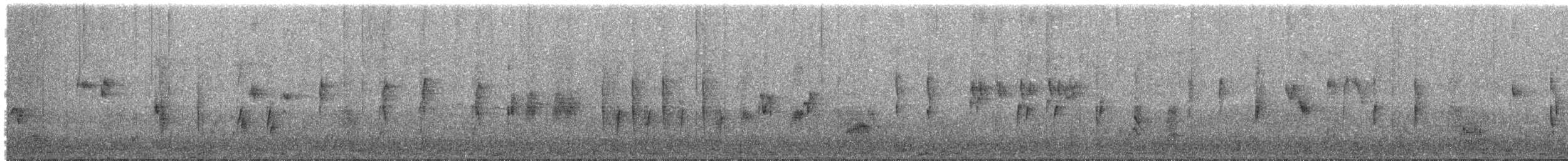 White-throated Dipper - ML496268191