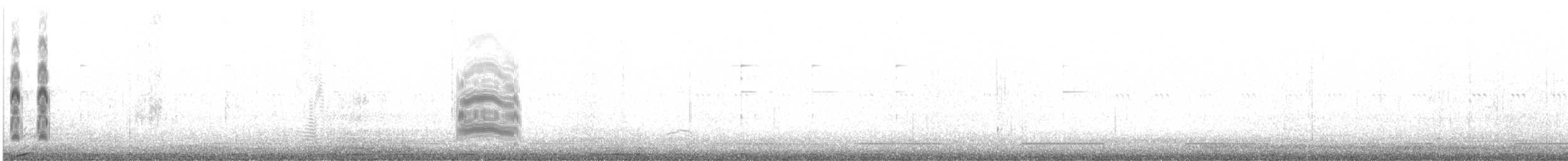 Lesser Crested Tern - ML496279701
