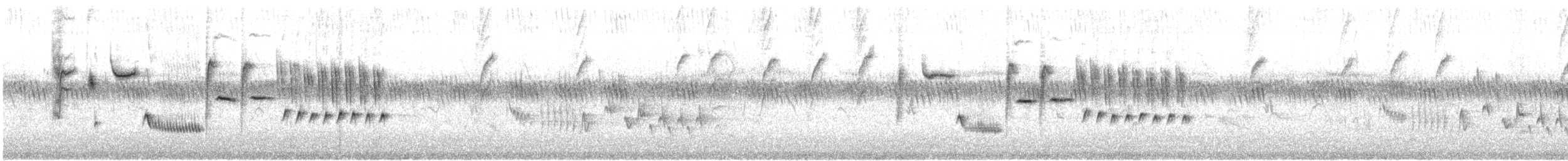 Troglodyte de Bewick - ML496333781