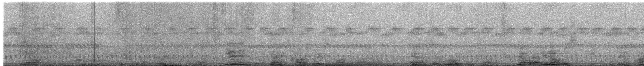 Square-tailed Nightjar - ML496486301
