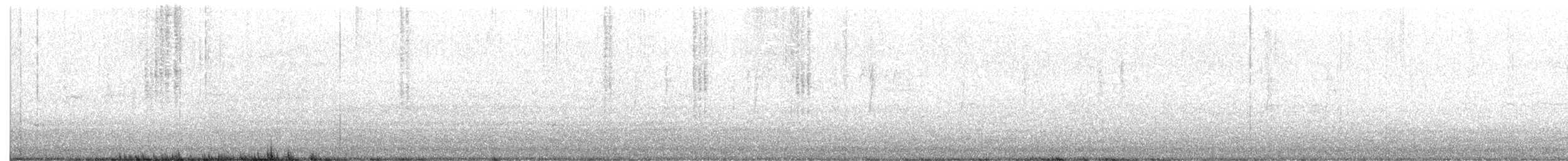 Broad-billed Hummingbird - ML496495181