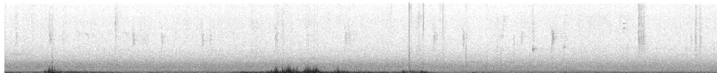 Geniş Gagalı Kolibri - ML496495191