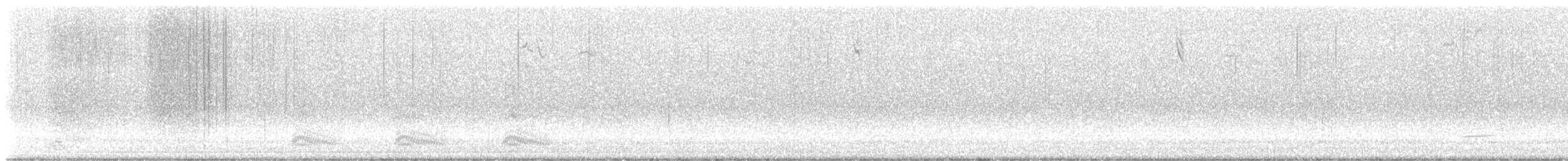 nålhalespurv (subvirgata) - ML496507521