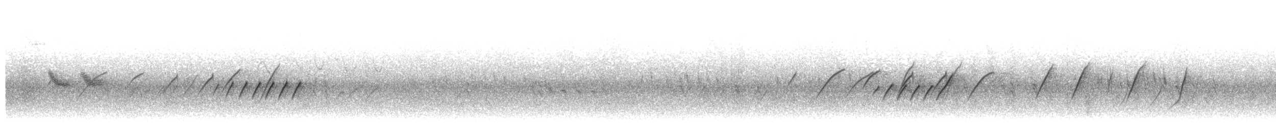 langhalemønjefugl - ML496525611