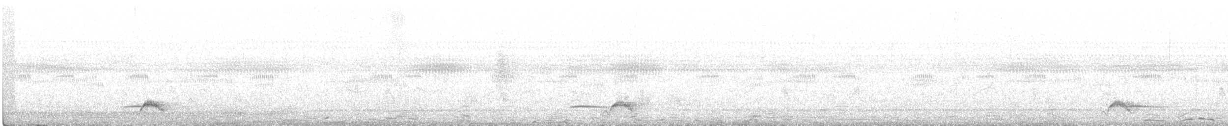 Black-streaked Scimitar-Babbler - ML496527971