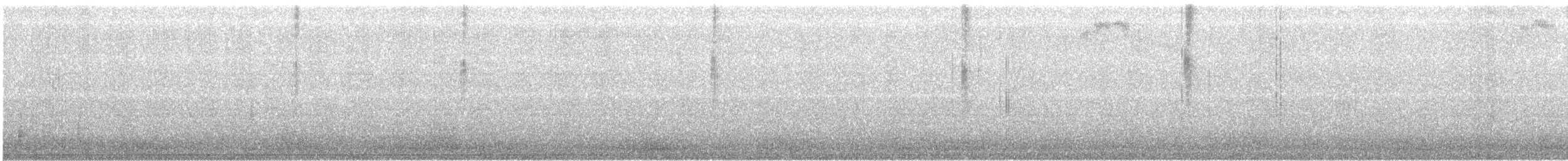 ørkenkolibri - ML496542541