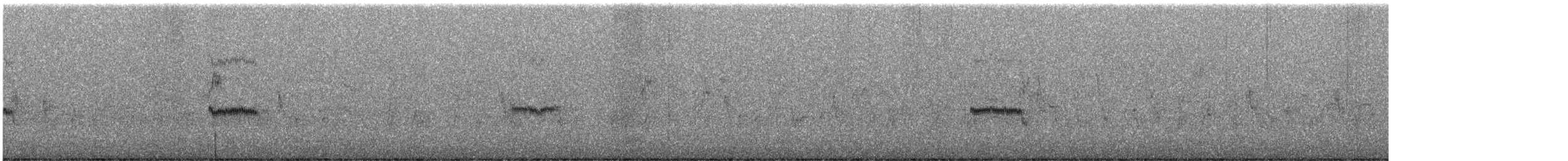 Серый сорокопут [группа excubitor] - ML496559421