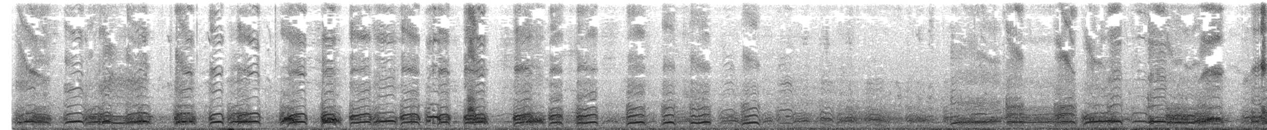 Prion colombe - ML496565661